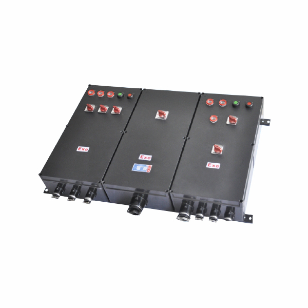 BXM(D)8030 系列防爆防腐照明(动力)配电箱/粉尘防爆防腐照明(动力)配电箱(ⅡC、DIP)